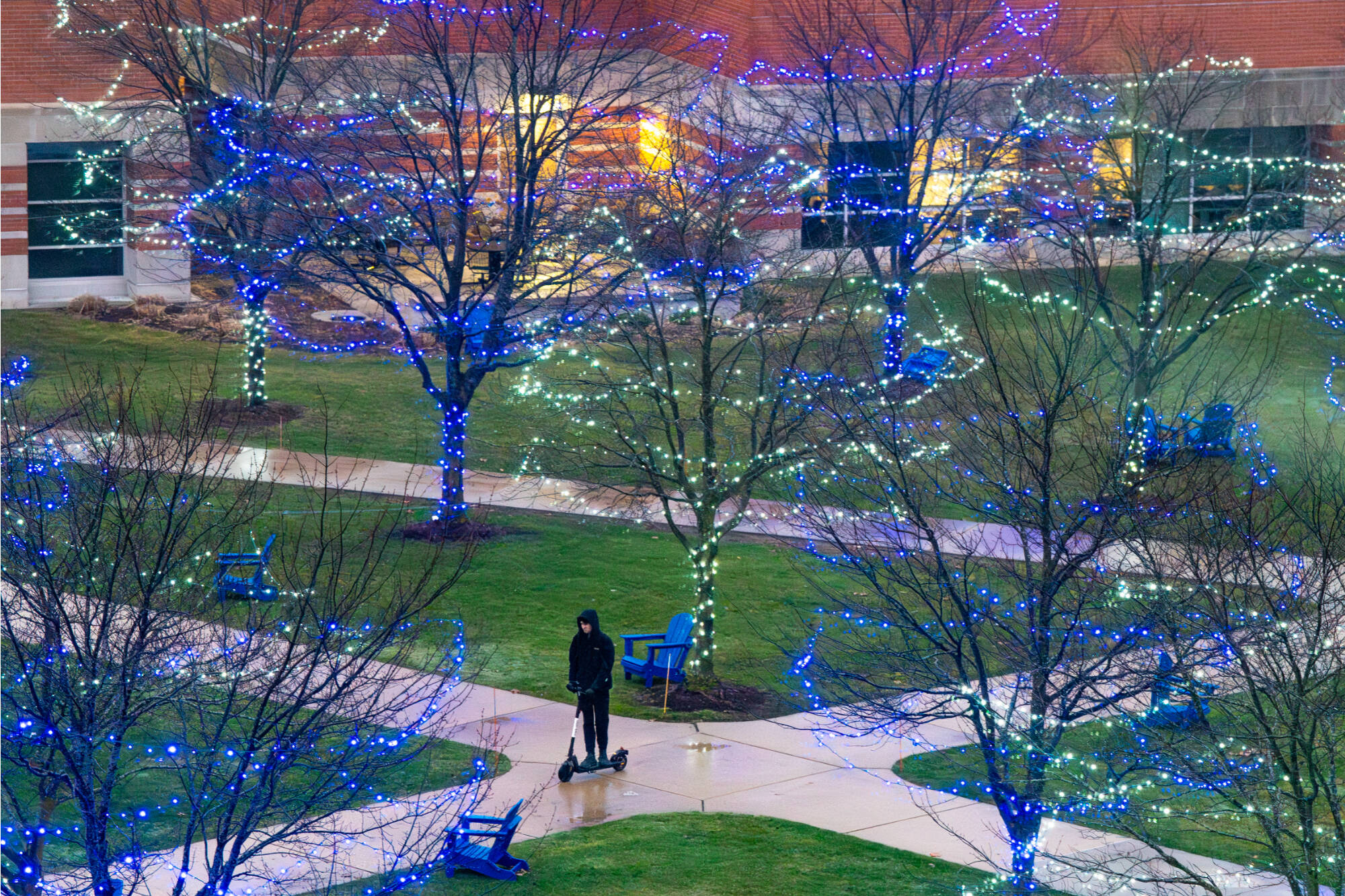 A pedestrian travels on an electric scooter near holiday lights on the Kirkhof Center Lawn on December 9.